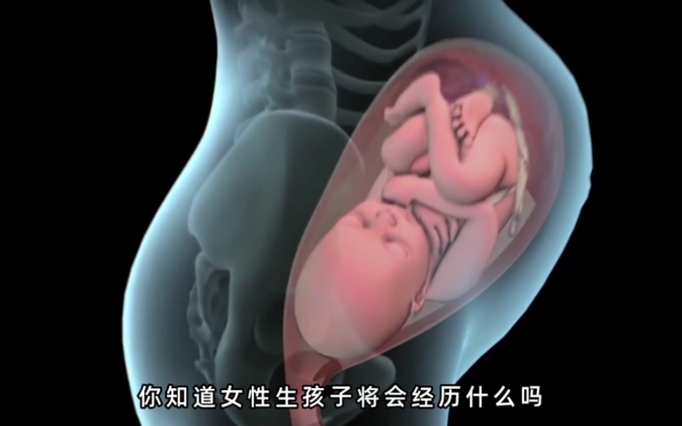 自然分娩宝宝诞生全过程动画演示,妈妈生孩子的艰辛和伟大 .