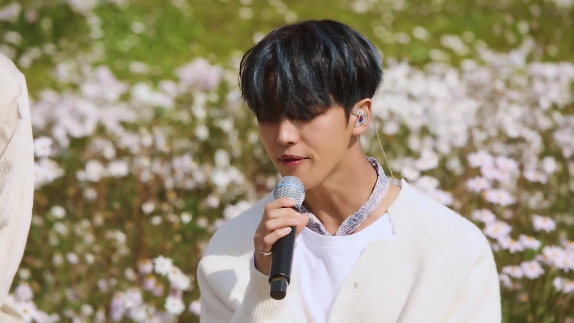 pentagondaisybeautifulgoodbyenostalgia