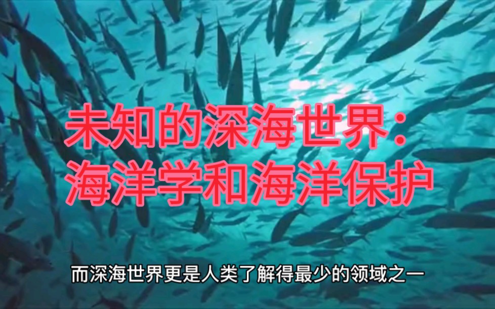 [图]未知的深海世界：海洋学和海洋保护