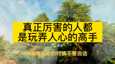 真正厉害的人都是玩弄人心的高手,人生感悟智慧人生哔哩哔哩bilibili