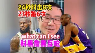 Download Video: 徐静雨：24秒肘击8次！23秒跪6次！what can I say？詹黑科黑让鲸鱼为难！