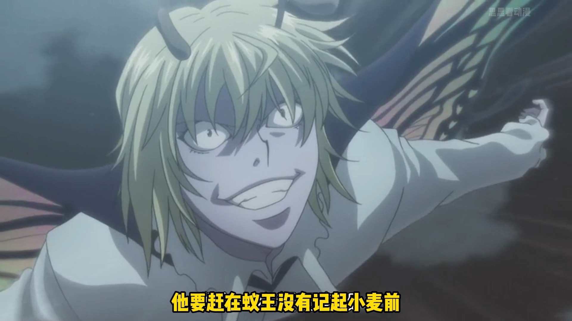 嵌合蚁篇-65:蚁王获得尤匹的力量,普夫vs奇犽!