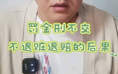 罚金刑不交、不退赃退赔的后果哔哩哔哩bilibili