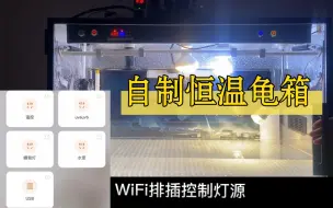 Télécharger la video: 加热棒怕煮龟，乌龟保温箱不知道怎么选？那就自己动手做一个自制爬宠恒温箱箱，冬天给龟苗一个家