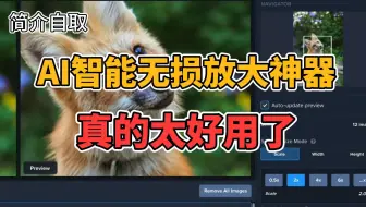 工作学习必备｜AI智能无损放大图片神器（细节增强） Topaz Gigapixel AI v6.2.1 炒好用
