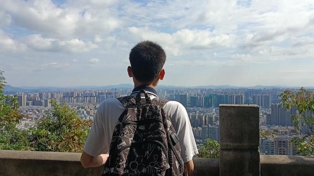 曾经志在四方的少年,如今羡慕南飞的雁.