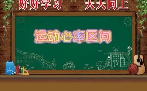 运动心率区间哔哩哔哩bilibili