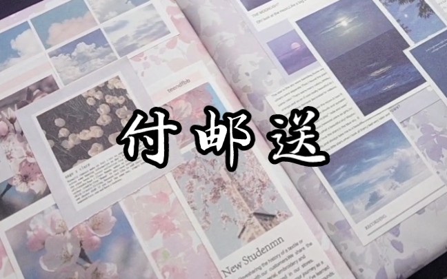 【付邮送】哔哩哔哩bilibili