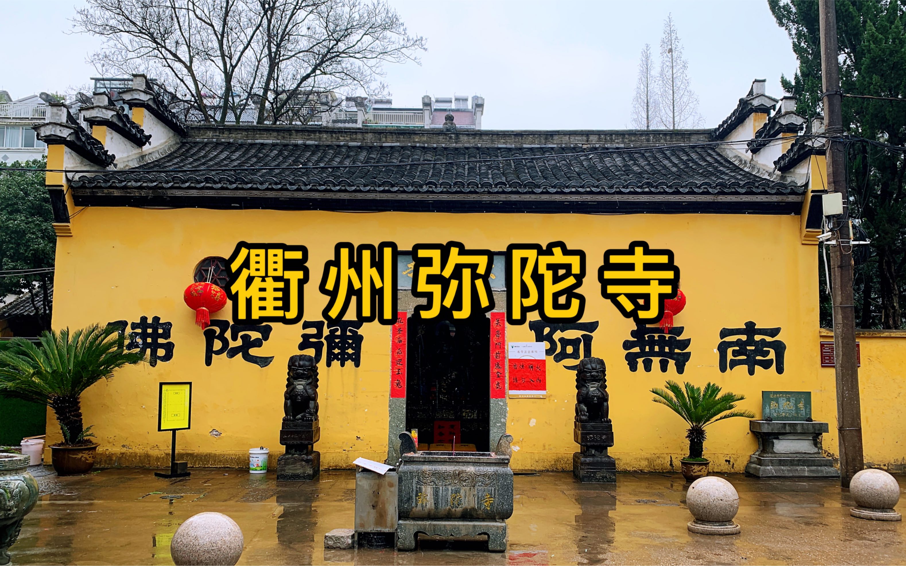 浙江衢州孔庙对面居然还有一座不起眼的小寺院,原来是供奉武圣关公的小庙,关公是如何被儒释道三家推上神坛的?#传统文化#弥陀寺 #佛教文化哔哩哔...