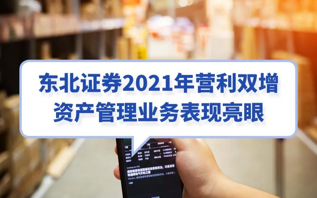 东北证券2021年营利双增,资产管理业务表现亮眼哔哩哔哩bilibili