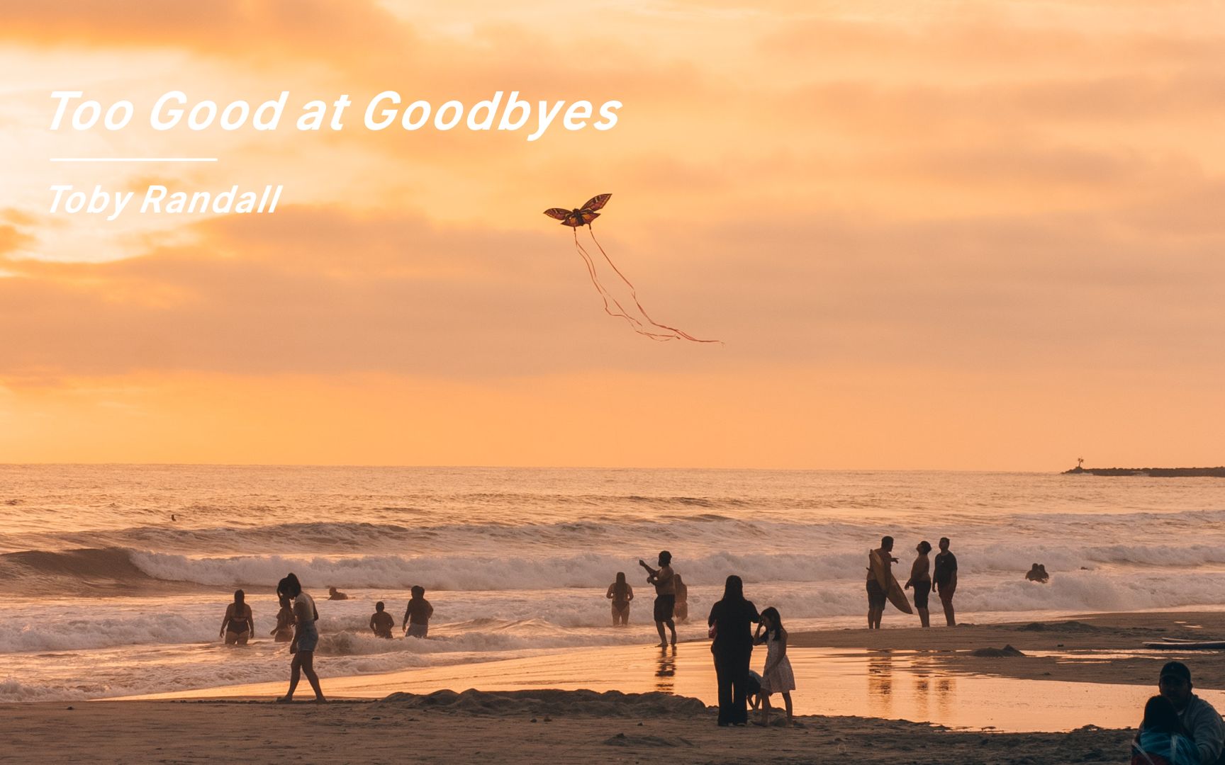 [图]“他的声音我听不腻”《Too Good at Goodbyes》