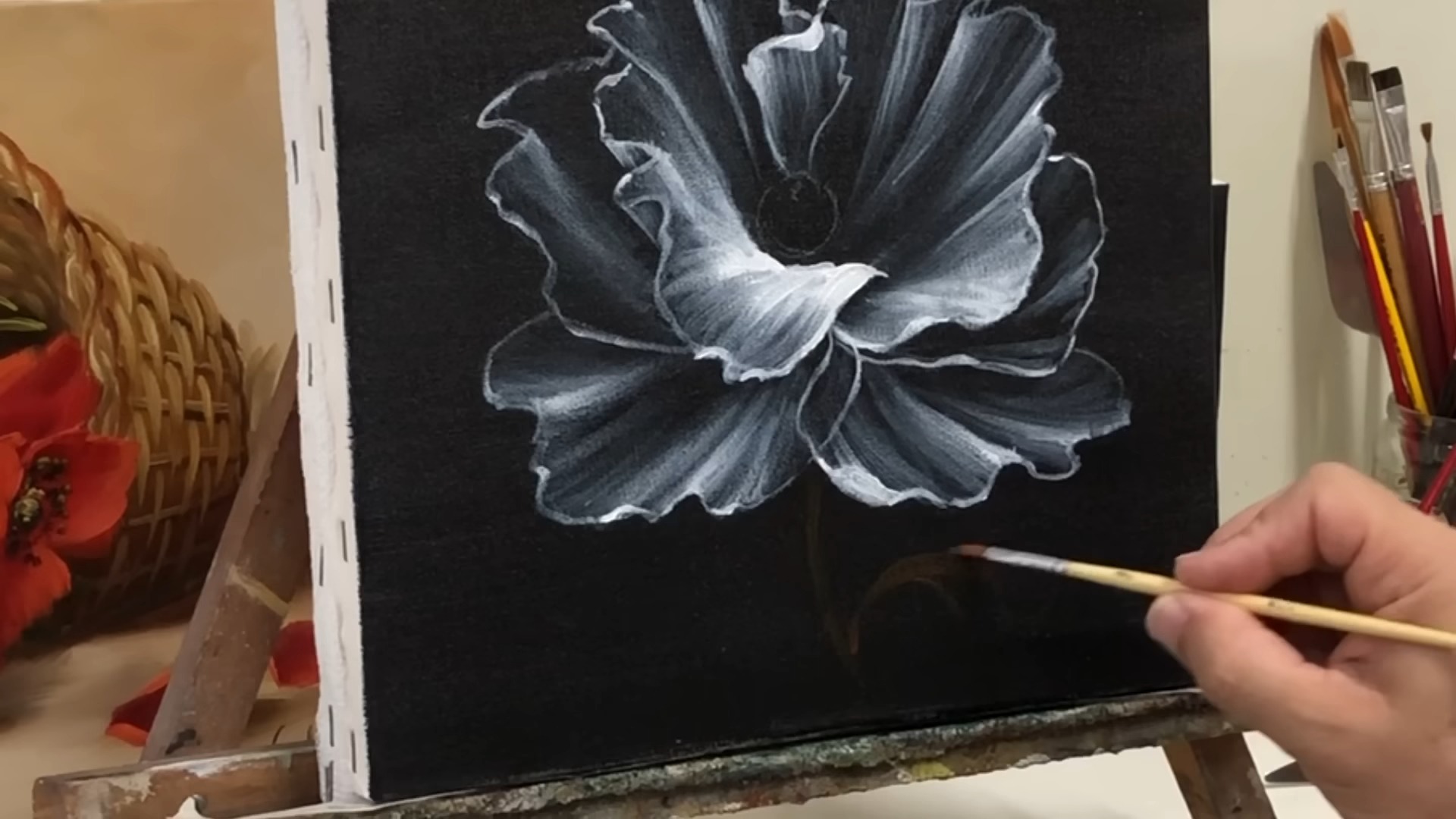 黑色背景下的透明花朵