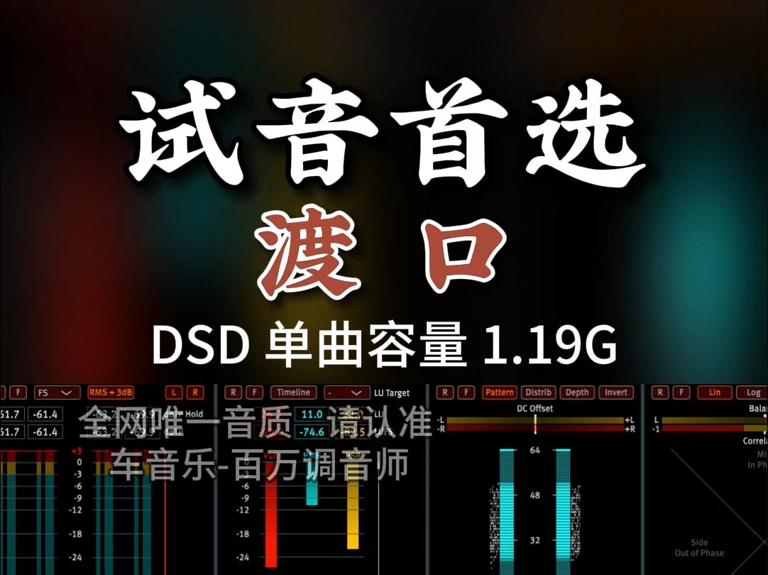 试音王牌,发烧友首选,蔡琴《渡口》DSD完整版1.19G,百万调音师专业录音棚制作,顶级hifi无损音质哔哩哔哩bilibili