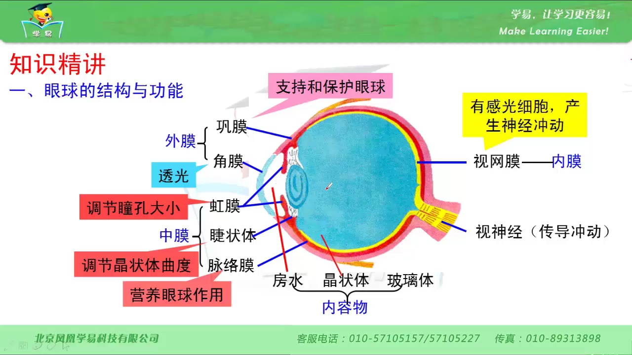 [图]眼睛生物