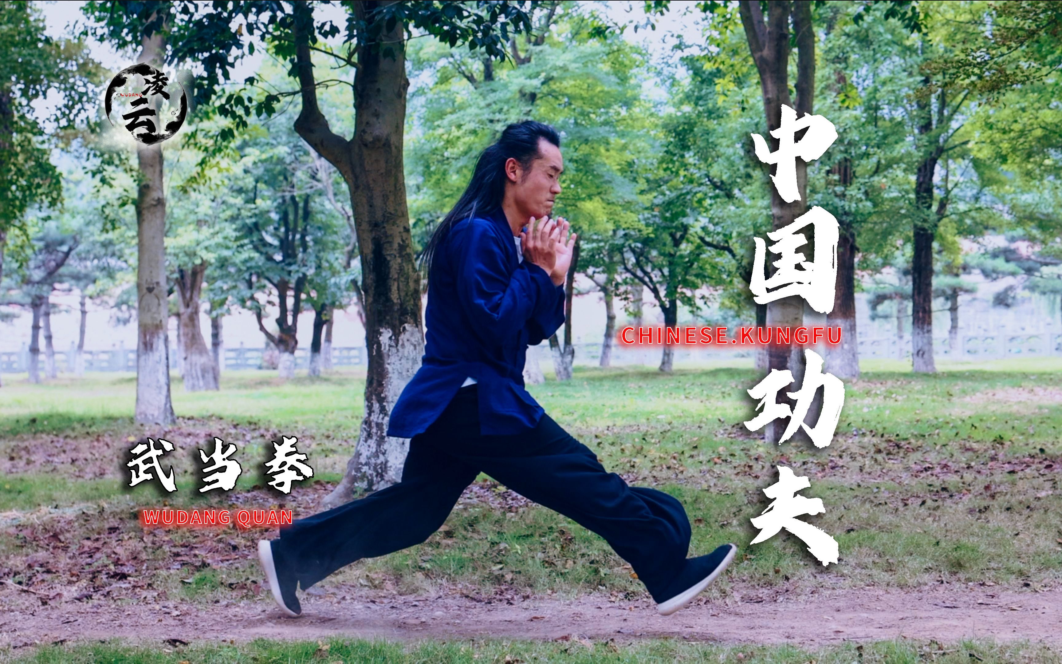 武当秘传拳法之武当拳,高清完整版演示,刚柔并济,人人可学哔哩哔哩bilibili