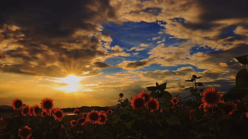 来一场心灵的治愈