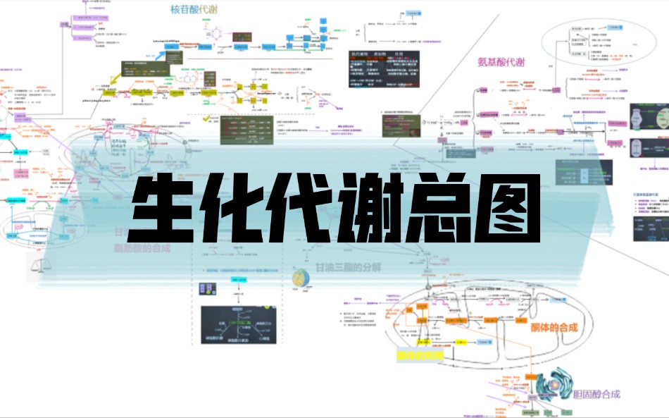 [图]自创生化代谢总图 | 考研、期末 | 西医综合 | 生化三大代谢图的背诵方法 | 学习吴在望 | 糖代谢 氨基酸代谢 脂类代谢 | 基础生物化学