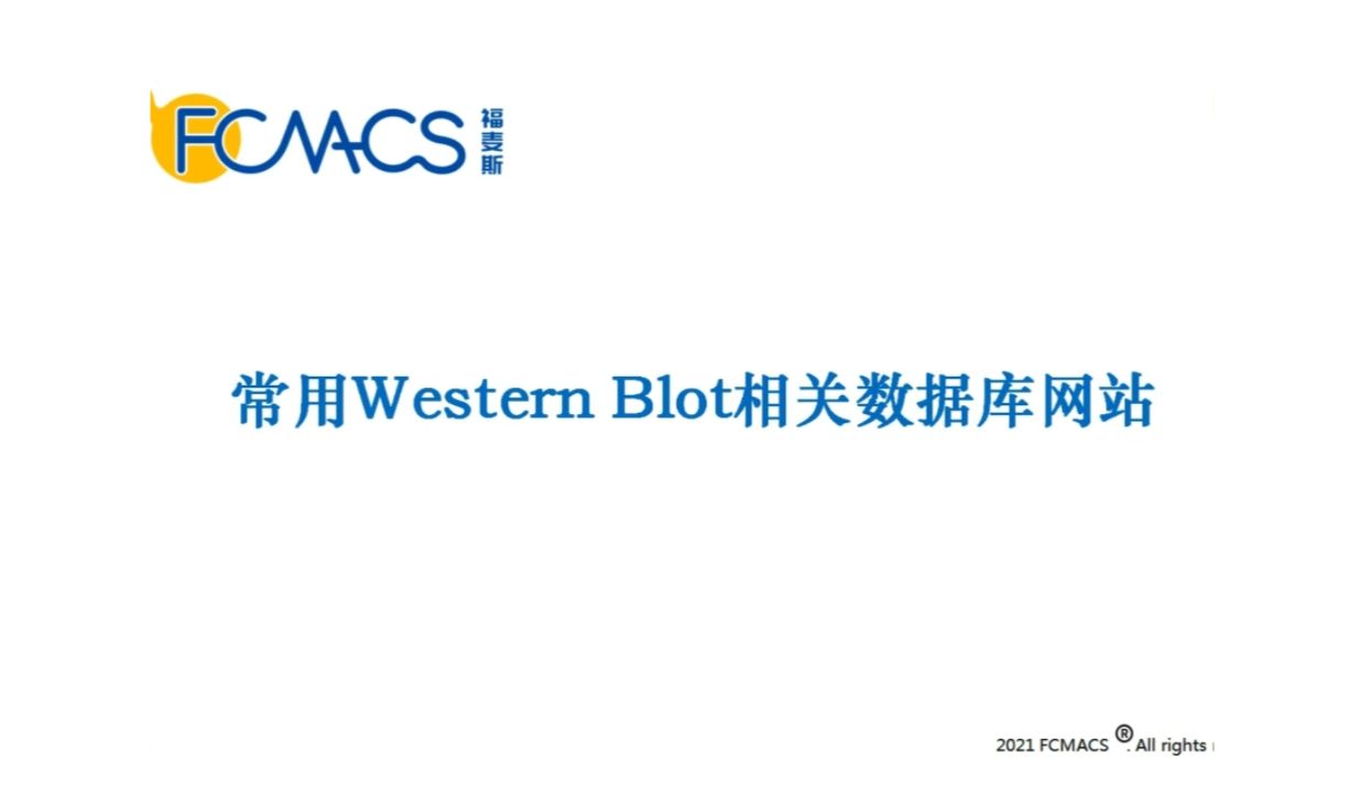 9个常用的 Western Blot 相关数据库网站哔哩哔哩bilibili