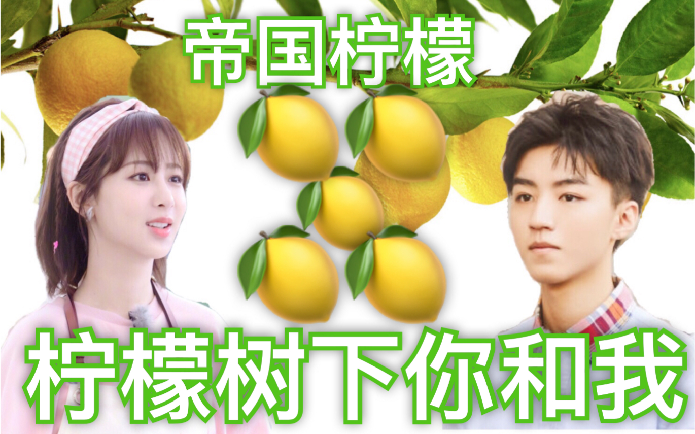 【王俊凯x杨紫】【梳头姐弟】【帝国葡萄】我看着别人的故事,留着自己