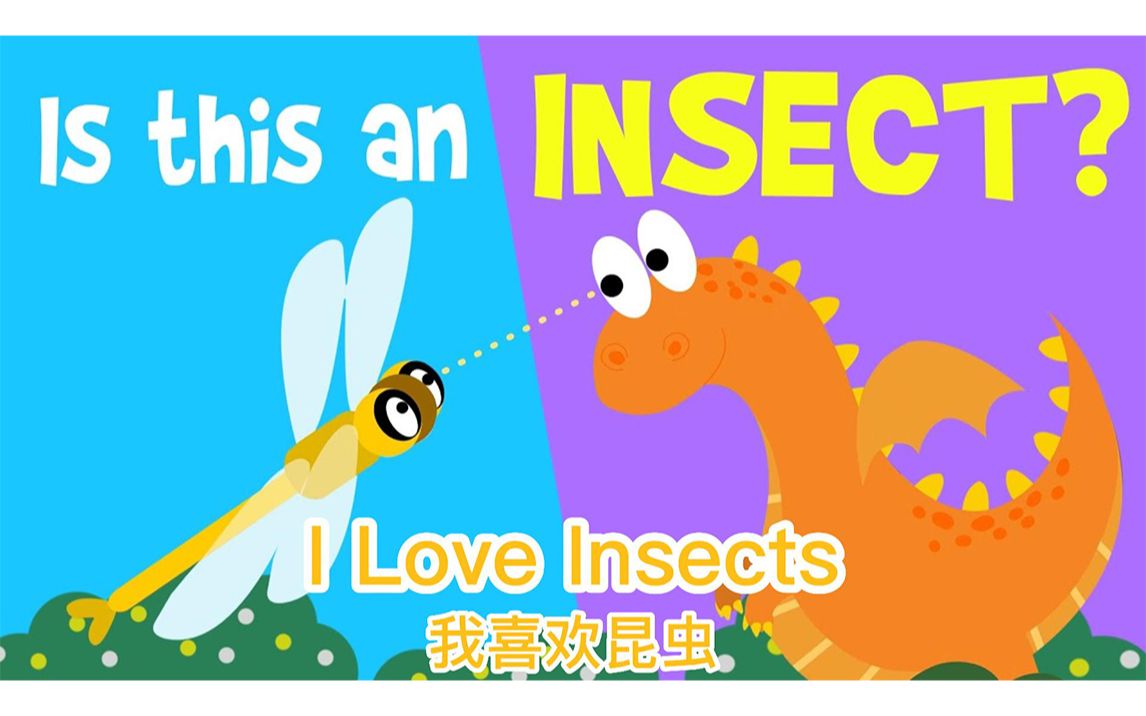 【I Love Insects】我喜欢昆虫 【Wormhole English】中英字幕哔哩哔哩bilibili