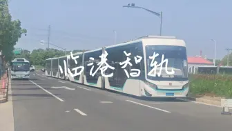 被遗弃在道路尽头的智轨，临港中运量从ART变成BRT