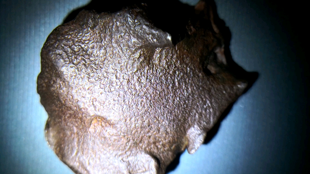 埃及卡米尔铁陨石