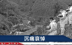 下载视频: 东航MU5735事故现场鸣笛悼念，有志愿者双眼通红，民兵低声啜泣