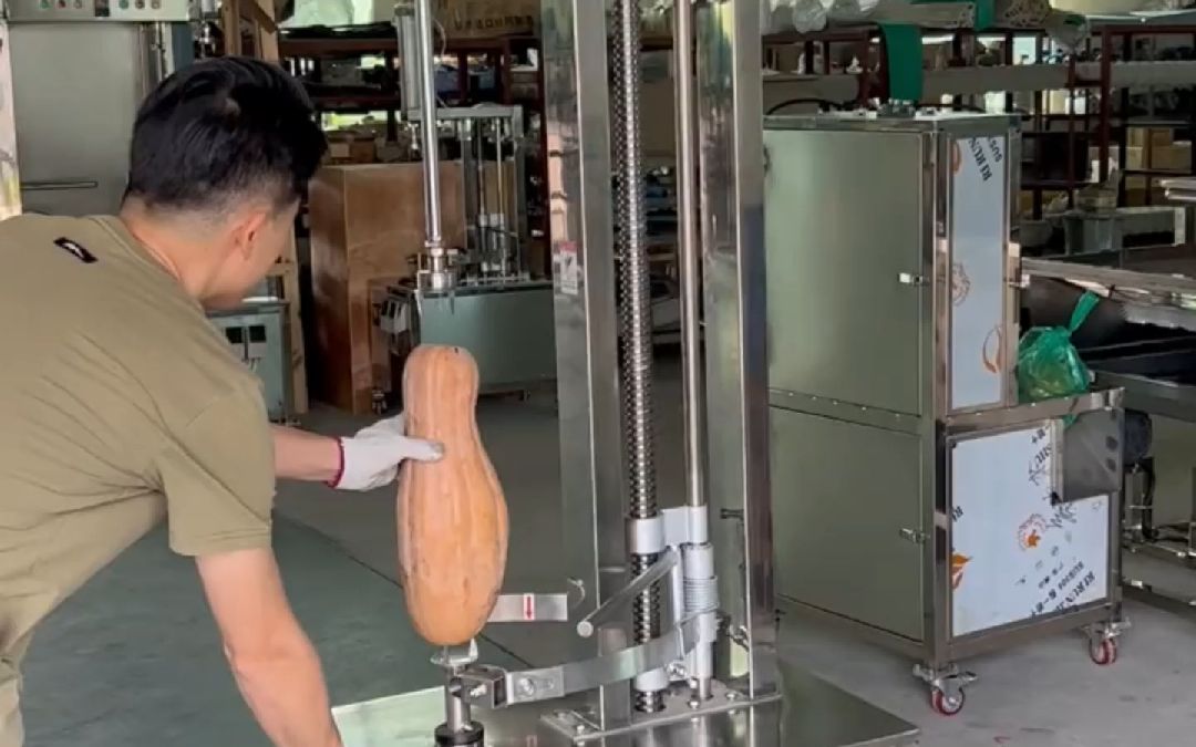 摩力斯供应南瓜加工厂大型冬瓜南瓜削皮机 全自动立式去果皮的机器