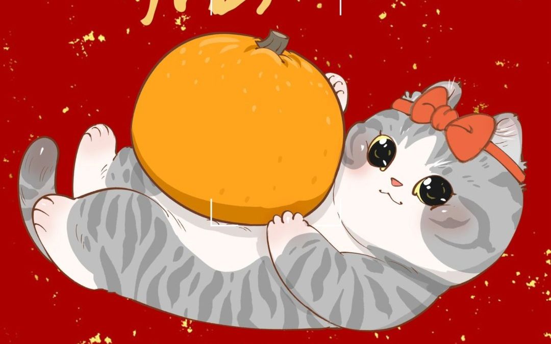 画猫的1461天,大吉大利!