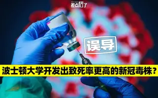 观视频和观察者网背后(观视频和观察者网是一家吗)