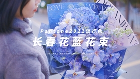 潘通发布22年度代表色 长春花蓝 哔哩哔哩 つロ干杯 Bilibili