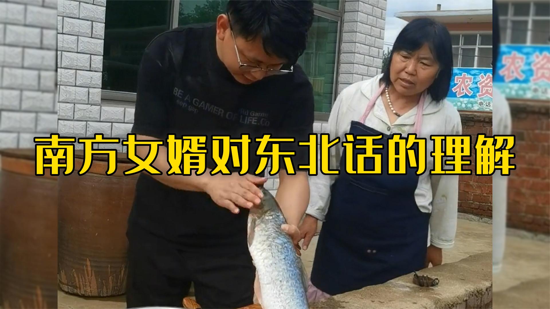 爆笑合集名场面盘点:南方女婿对东北话的神级理解,总感觉哪里是不是