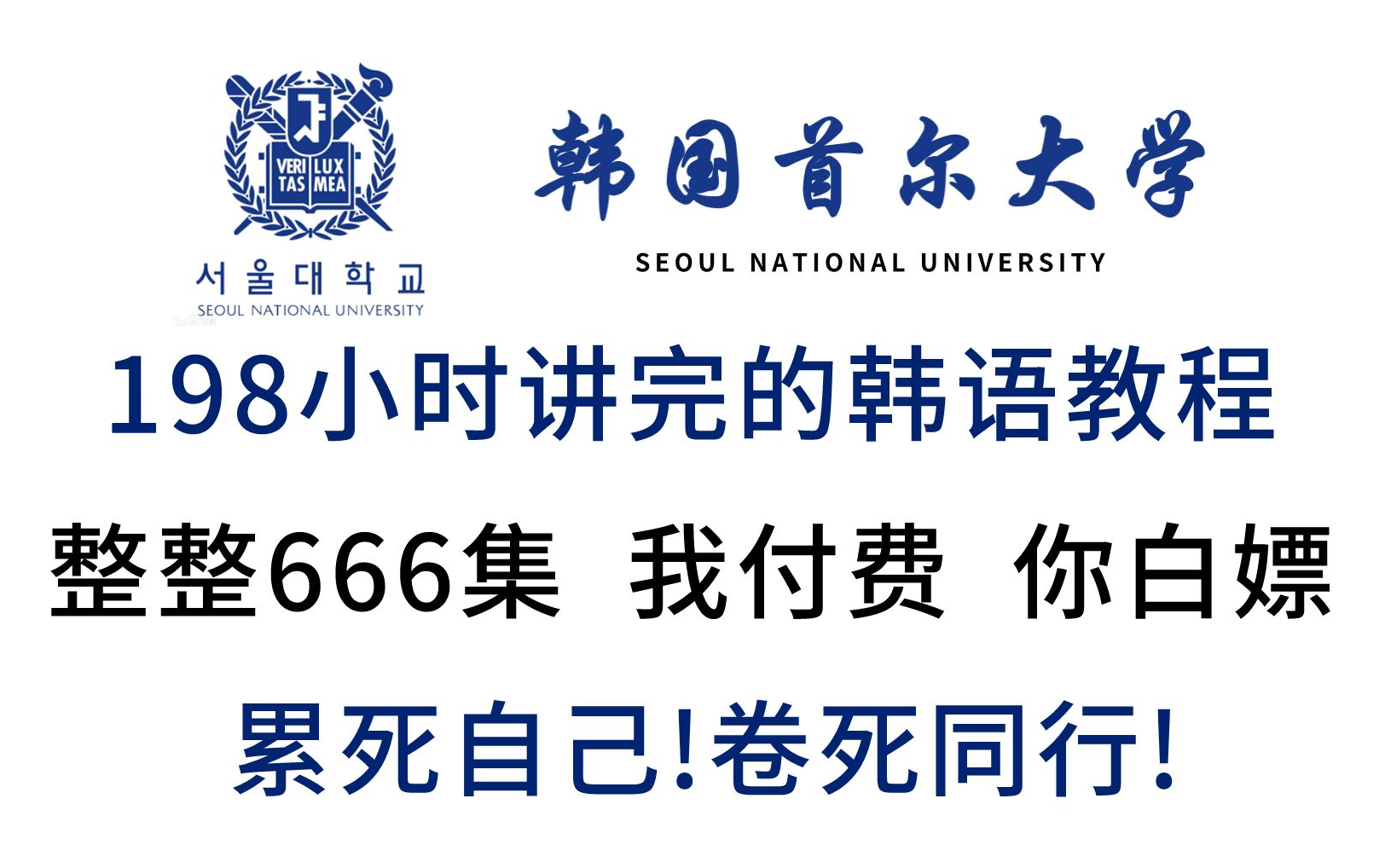 【B站第一】首尔大学198小时讲完的韩语学习教程!我付费你白嫖!全程干货无废话,学完即可过topik6!哔哩哔哩bilibili