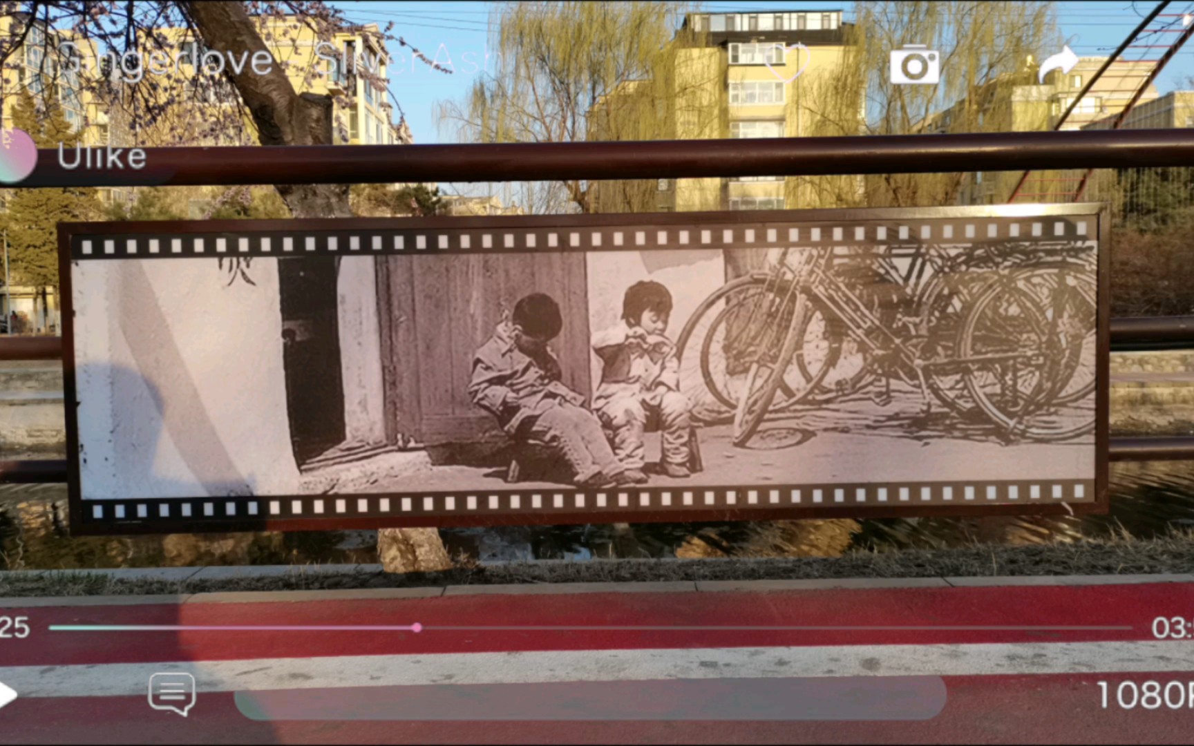 看着这些老照片,感慨万千,时光一去不复返