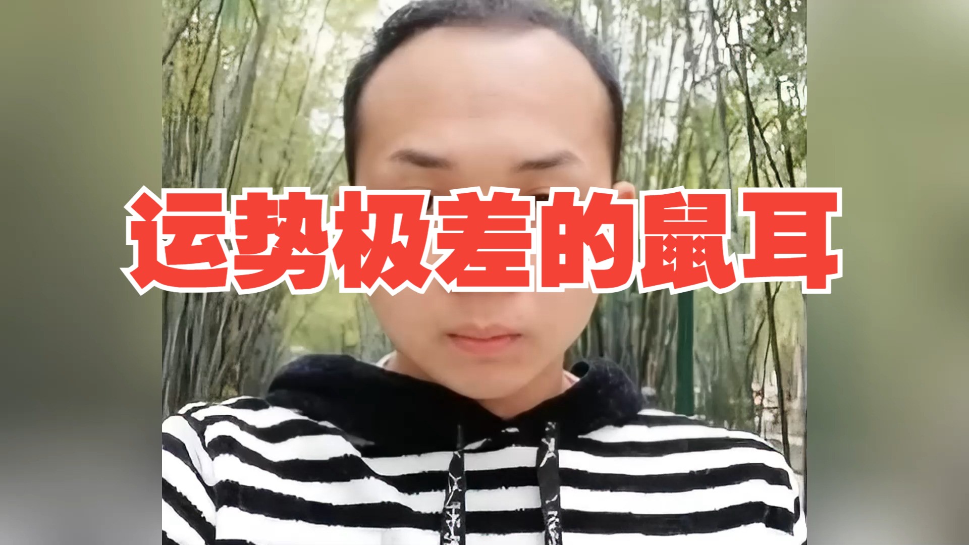 晚年运势极差的"鼠耳"