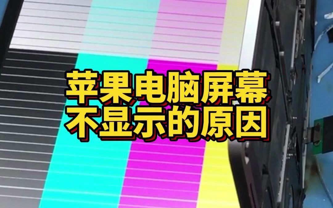 苹果电脑MacBook开机屏幕不显示哔哩哔哩bilibili