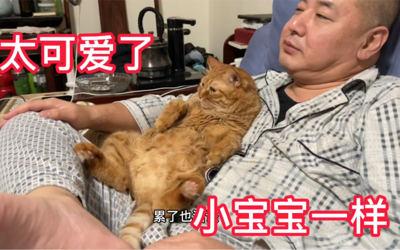 [图]小猫咪睡觉一小时，爸爸一动不动捂眼一小时！