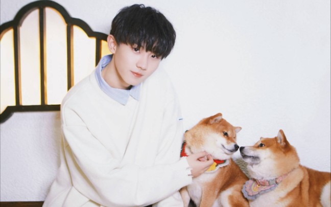 【马嘉祺】柴犬一日vlog