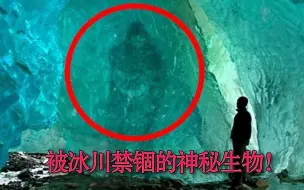 下载视频: 盘点被冰川封印的那些神秘生物！第二个最离奇！