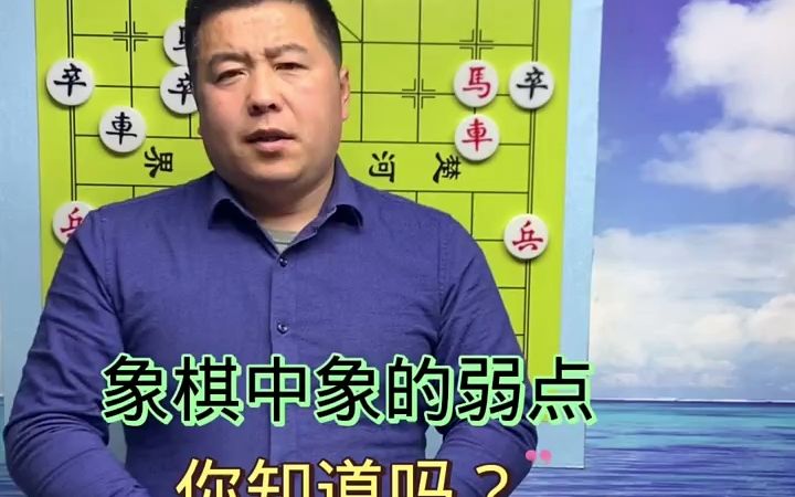 【象棋技巧,棋类爱好】少儿象棋入门教学象棋新手入门教程怎样学象棋哔哩哔哩bilibili