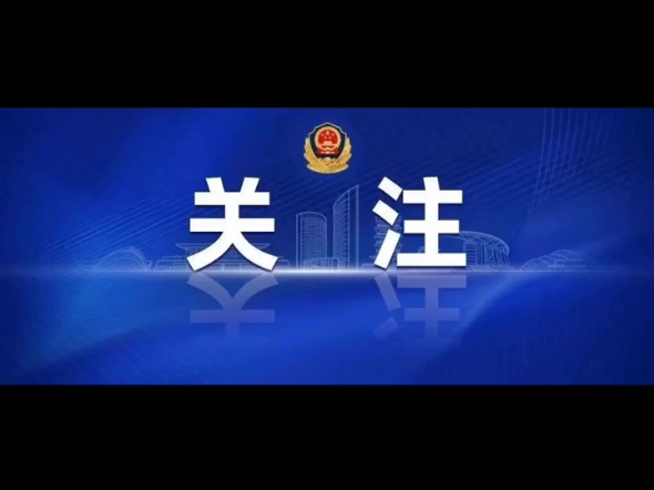 重拳出击严打涉网犯罪 海淀警方守护网络清朗哔哩哔哩bilibili