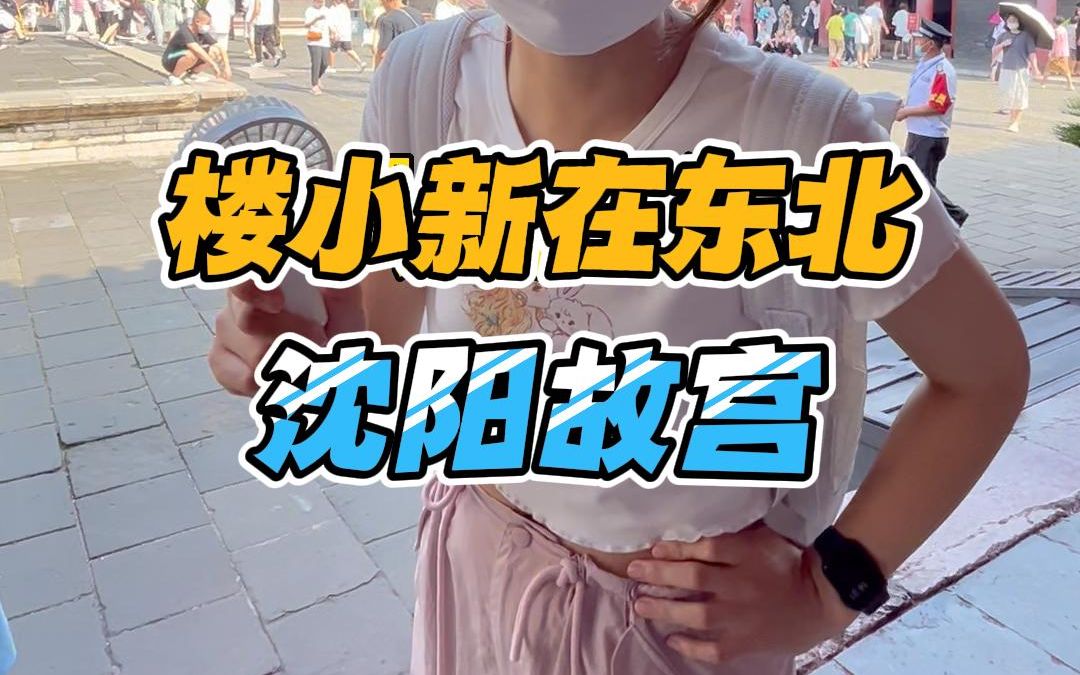 楼小新东北游沈阳故宫了解历史哔哩哔哩bilibili