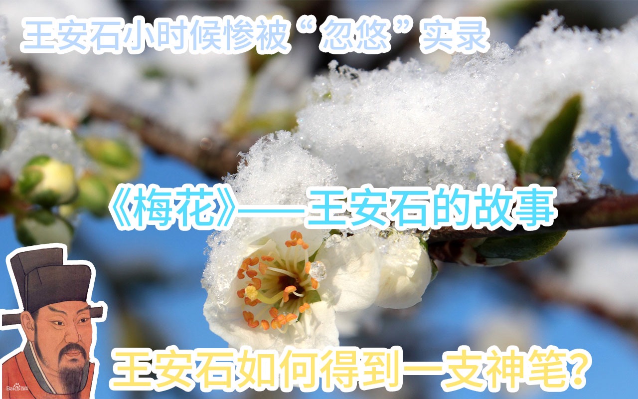 [图]小学语文二年级上学期古诗词学习——梅花