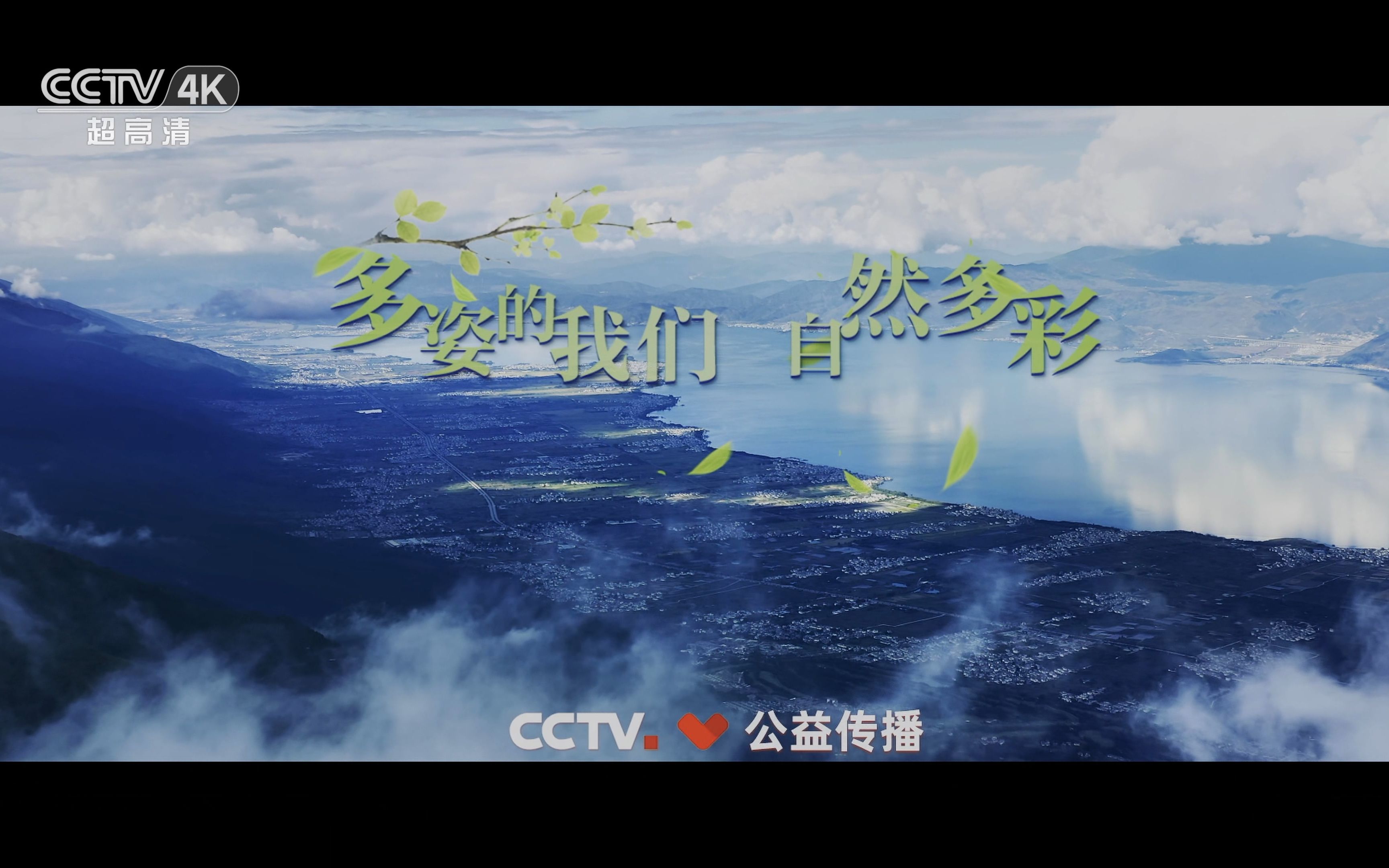 [图]CCTV.公益传播.多姿的我们.自然多彩.2160P