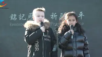 历史的述说