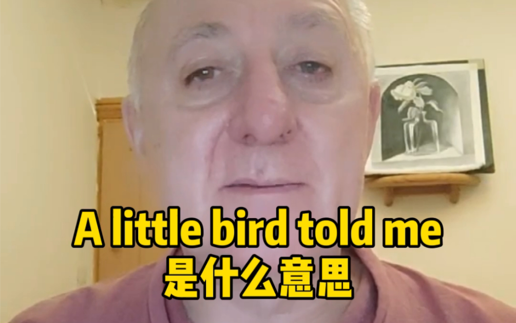 A little bird told me 是什么意思哔哩哔哩bilibili