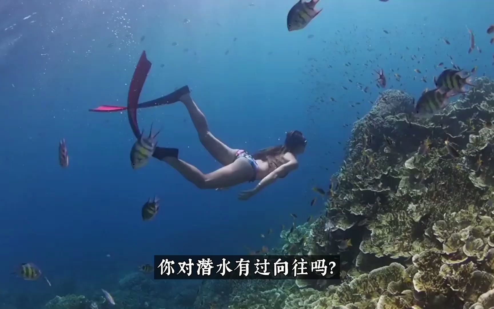 [图]深海潜水员的四个意外发现！