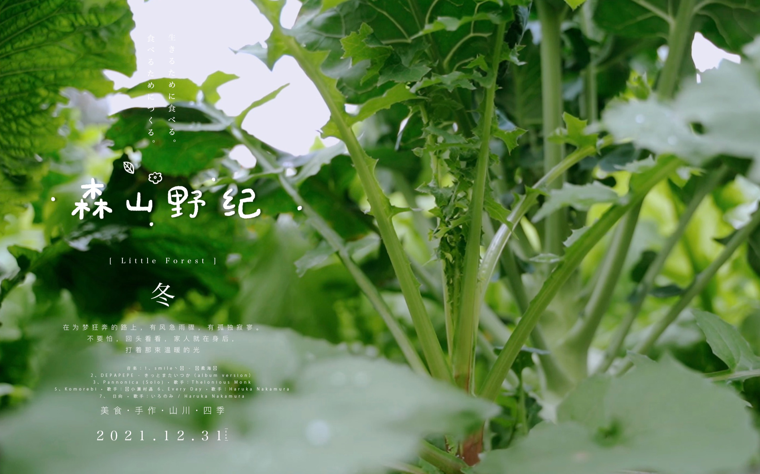 沉浸式掐菜 | 冬天最嫩的野菜苦菜,可凉拌可炒哔哩哔哩bilibili