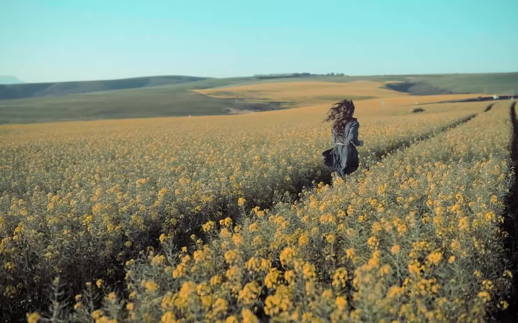 明明是心情的解压,怎么给人一种忧伤呢?你的感受是什么呢?