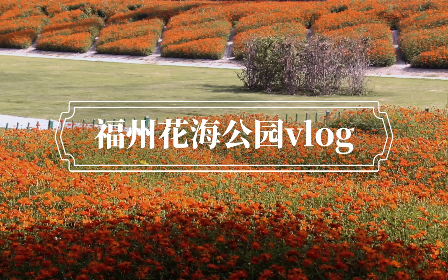 福州花海公园Ⅰ我和春天有个约会哔哩哔哩bilibili